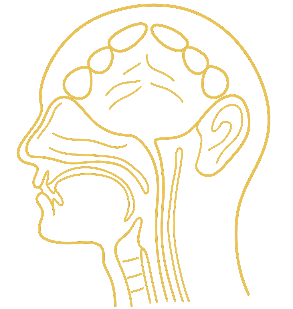 Children's Dentistry