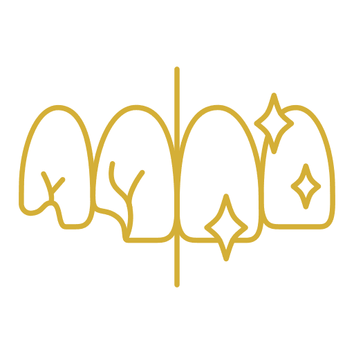 Children's Dentistry