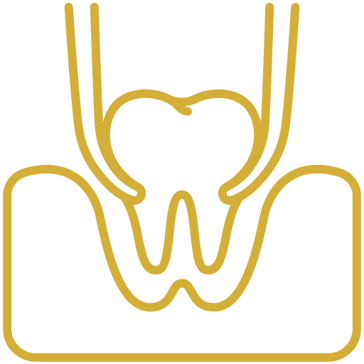 Children's Dentistry